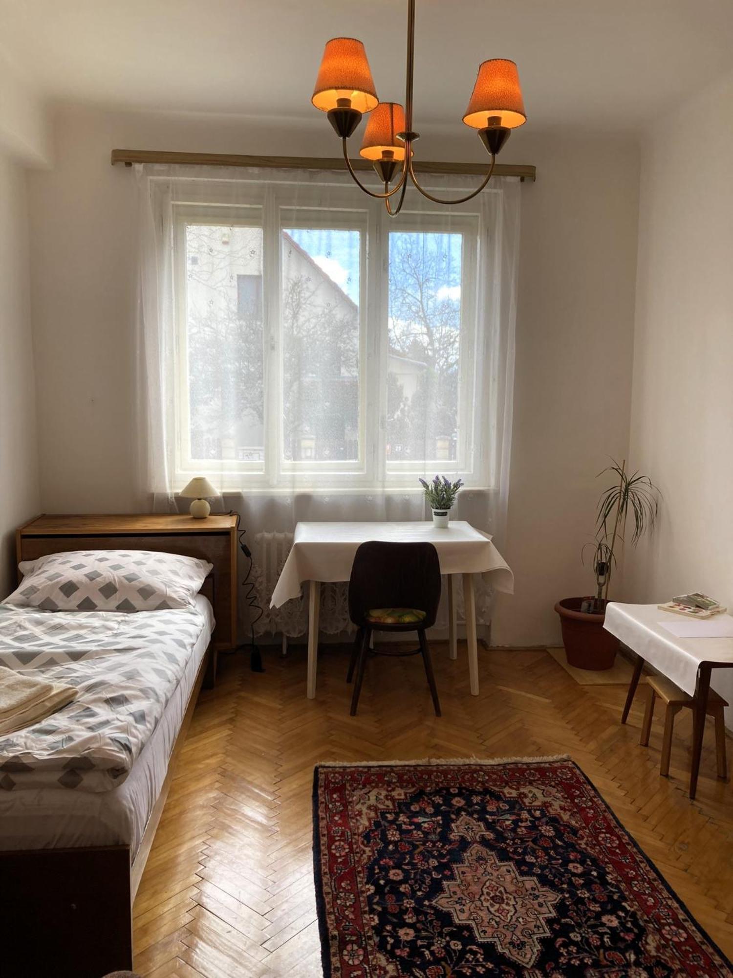 Spacious Apartment - Free Parking! Prága Kültér fotó